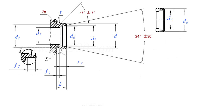 49 DS-Ring1.jpg